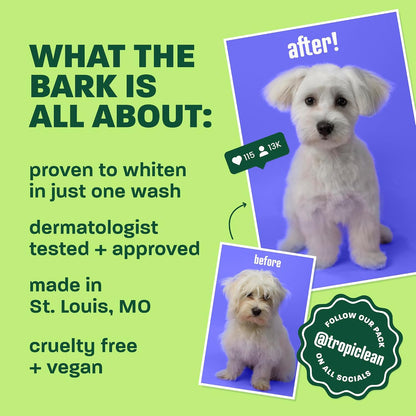 Gentle Puppy Shampoo, Sensitive Skin, Coconut Scent, 20oz | For Allergies & Sensitive Skin | Gentle Coconut Scent | Safe for Cats & Kittens | Made in USA