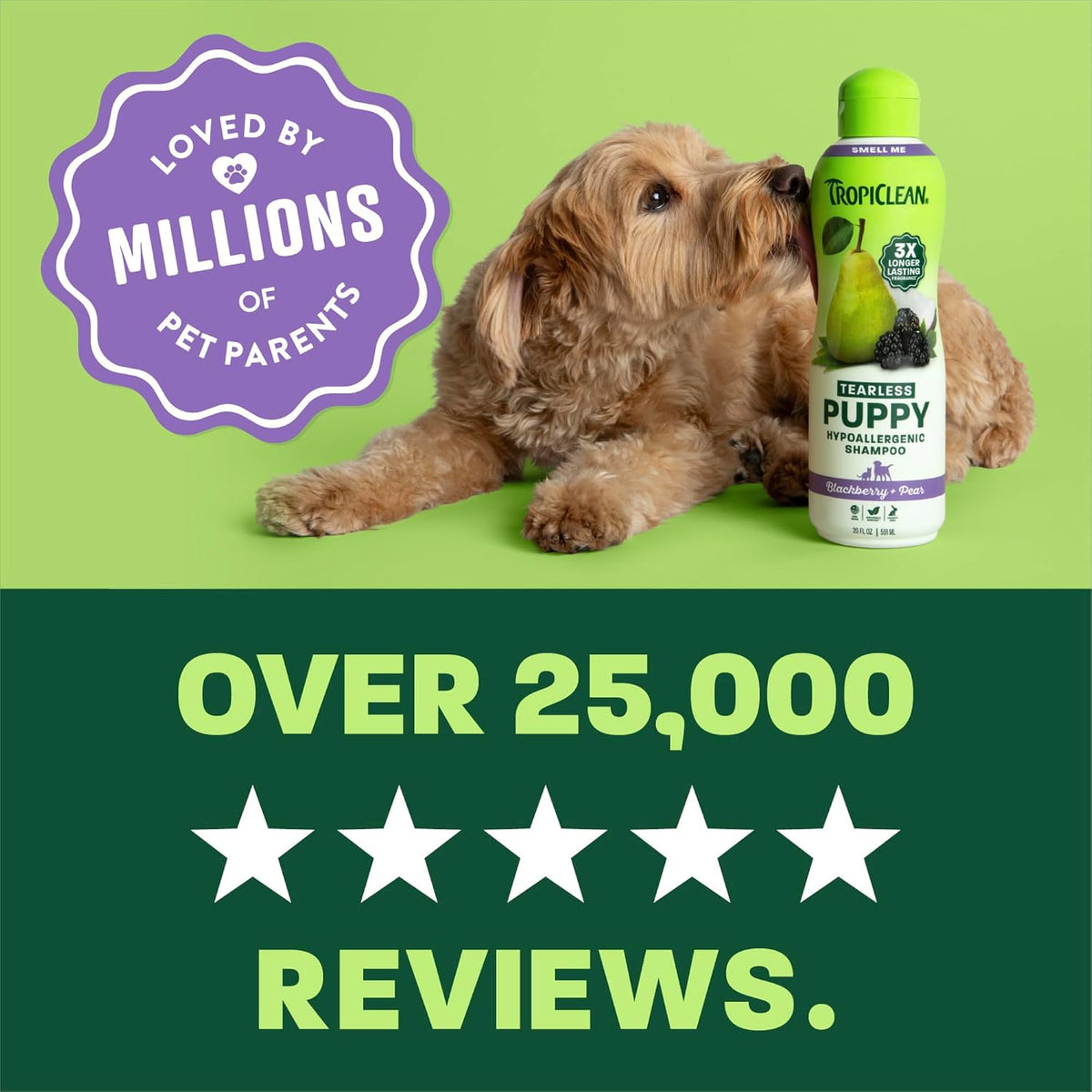 Gentle Puppy Shampoo, Sensitive Skin, Coconut Scent, 20oz | For Allergies & Sensitive Skin | Gentle Coconut Scent | Safe for Cats & Kittens | Made in USA