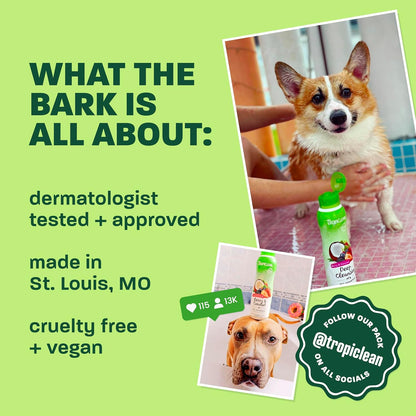 Gentle Puppy Shampoo, Sensitive Skin, Coconut Scent, 20oz | For Allergies & Sensitive Skin | Gentle Coconut Scent | Safe for Cats & Kittens | Made in USA
