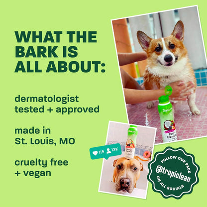 Gentle Puppy Shampoo, Sensitive Skin, Coconut Scent, 20oz | For Allergies & Sensitive Skin | Gentle Coconut Scent | Safe for Cats & Kittens | Made in USA
