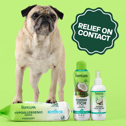 Gentle Puppy Shampoo, Sensitive Skin, Coconut Scent, 20oz | For Allergies & Sensitive Skin | Gentle Coconut Scent | Safe for Cats & Kittens | Made in USA