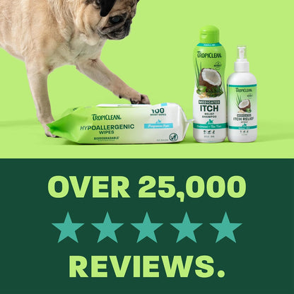 Gentle Puppy Shampoo, Sensitive Skin, Coconut Scent, 20oz | For Allergies & Sensitive Skin | Gentle Coconut Scent | Safe for Cats & Kittens | Made in USA