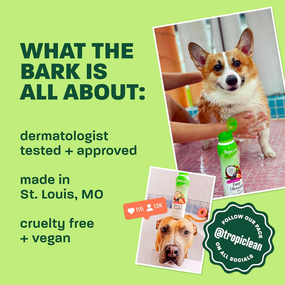 Gentle Puppy Shampoo, Sensitive Skin, Coconut Scent, 20oz | For Allergies & Sensitive Skin | Gentle Coconut Scent | Safe for Cats & Kittens | Made in USA