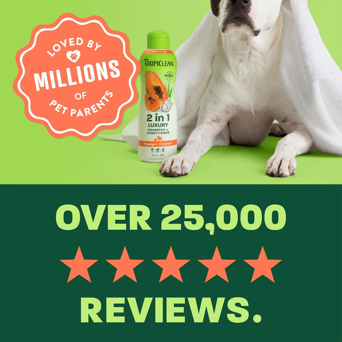 Gentle Puppy Shampoo, Sensitive Skin, Coconut Scent, 20oz | For Allergies & Sensitive Skin | Gentle Coconut Scent | Safe for Cats & Kittens | Made in USA