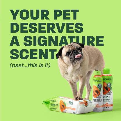Gentle Puppy Shampoo, Sensitive Skin, Coconut Scent, 20oz | For Allergies & Sensitive Skin | Gentle Coconut Scent | Safe for Cats & Kittens | Made in USA