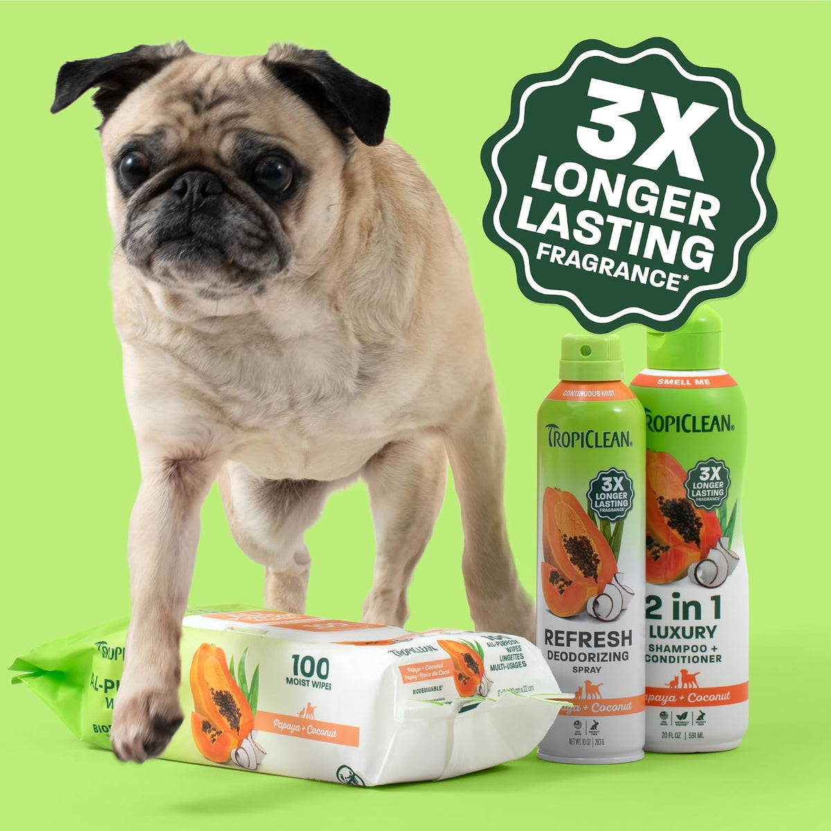 Gentle Puppy Shampoo, Sensitive Skin, Coconut Scent, 20oz | For Allergies & Sensitive Skin | Gentle Coconut Scent | Safe for Cats & Kittens | Made in USA