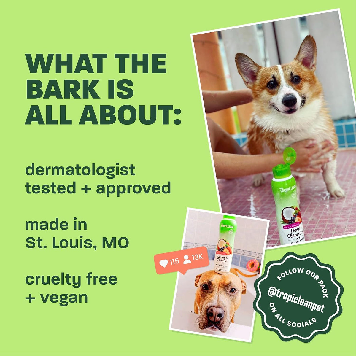 Gentle Puppy Shampoo, Sensitive Skin, Coconut Scent, 20oz | For Allergies & Sensitive Skin | Gentle Coconut Scent | Safe for Cats & Kittens | Made in USA