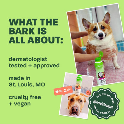 Gentle Puppy Shampoo, Sensitive Skin, Coconut Scent, 20oz | For Allergies & Sensitive Skin | Gentle Coconut Scent | Safe for Cats & Kittens | Made in USA