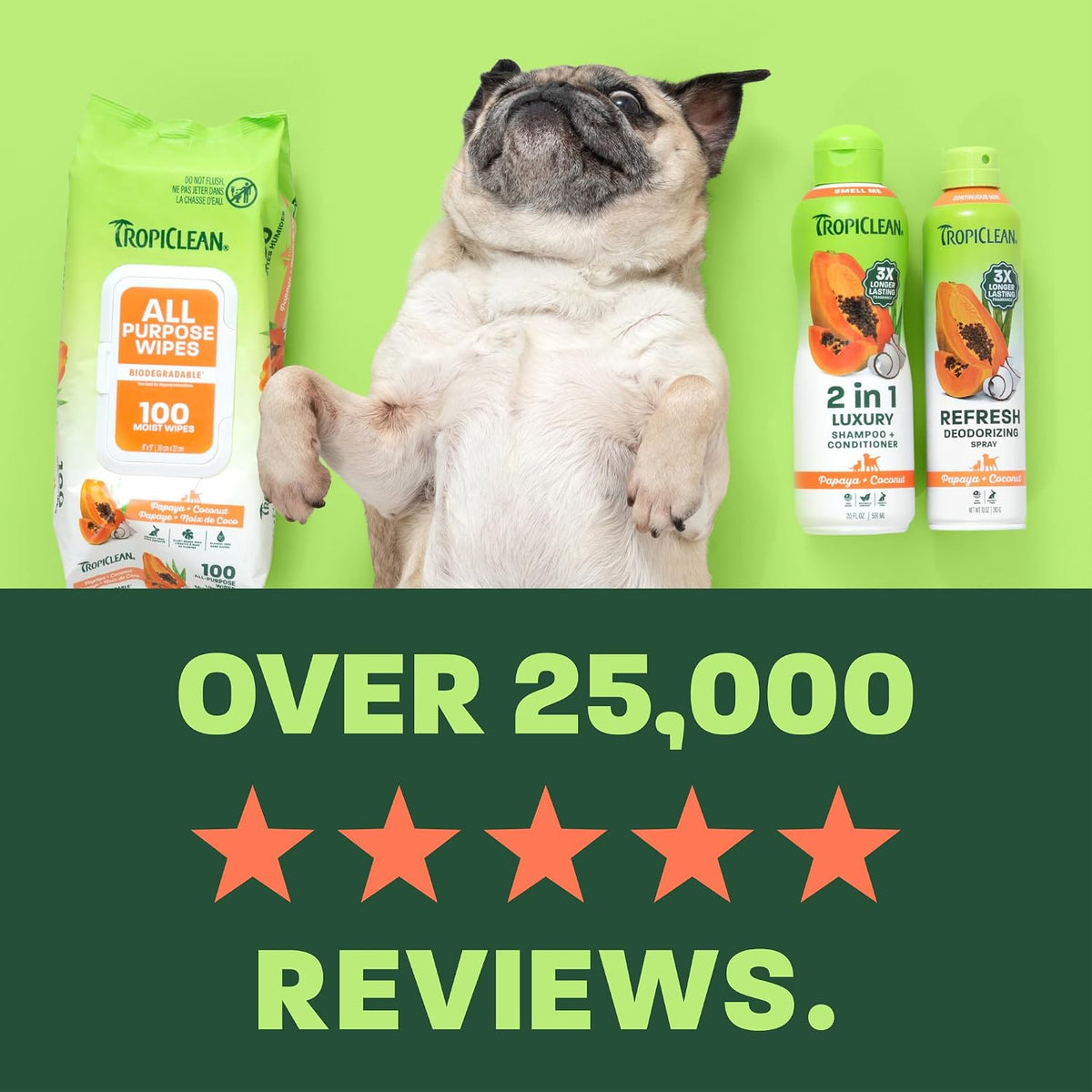 Gentle Puppy Shampoo, Sensitive Skin, Coconut Scent, 20oz | For Allergies & Sensitive Skin | Gentle Coconut Scent | Safe for Cats & Kittens | Made in USA