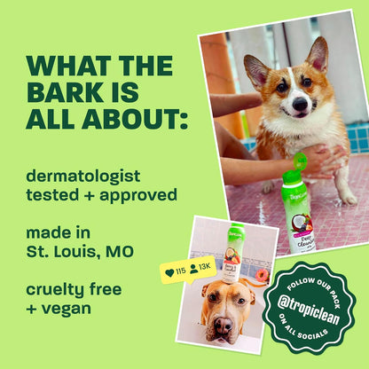 Gentle Puppy Shampoo, Sensitive Skin, Coconut Scent, 20oz | For Allergies & Sensitive Skin | Gentle Coconut Scent | Safe for Cats & Kittens | Made in USA