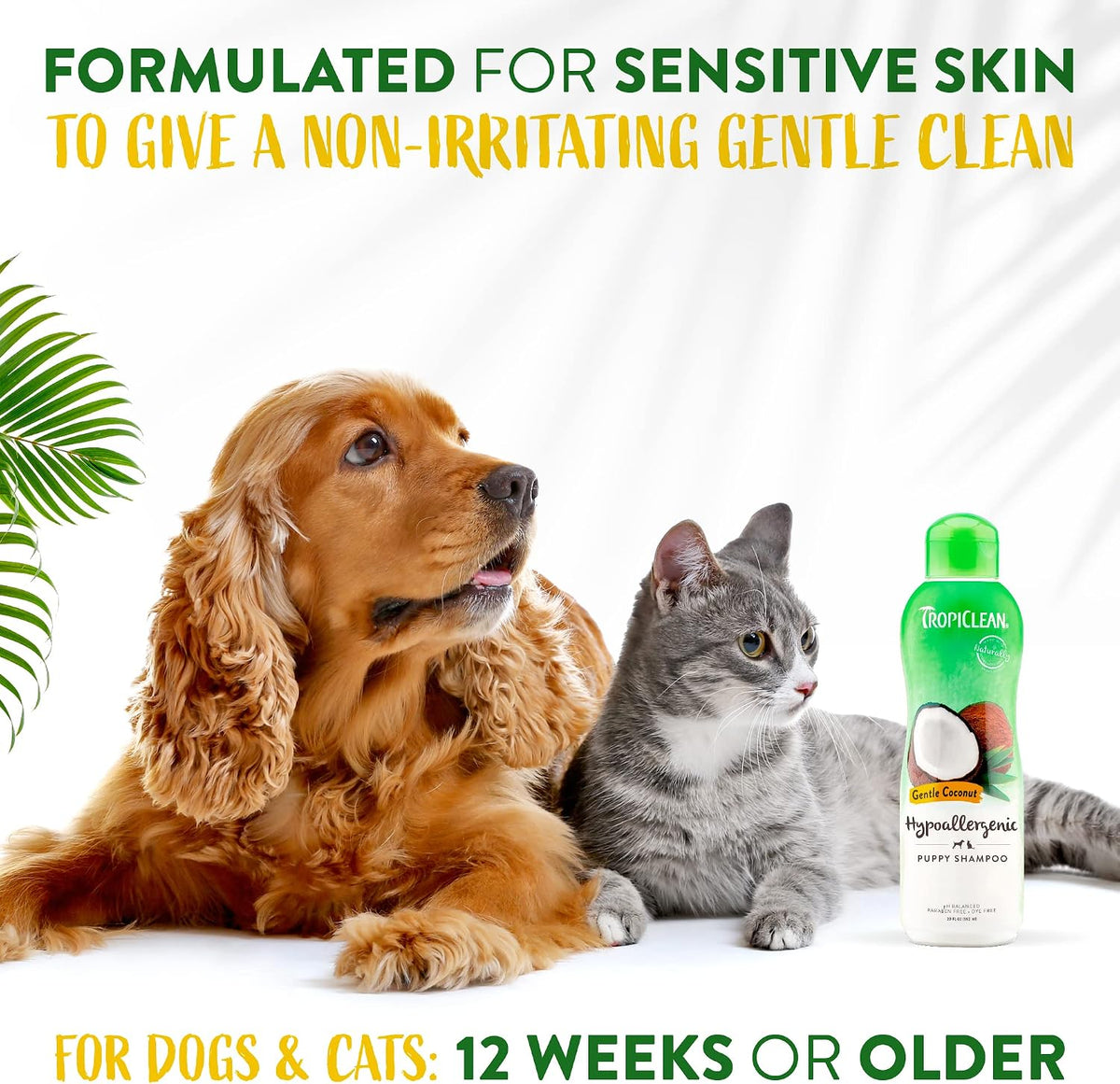 Gentle Puppy Shampoo, Sensitive Skin, Coconut Scent, 20oz | For Allergies & Sensitive Skin | Gentle Coconut Scent | Safe for Cats & Kittens | Made in USA