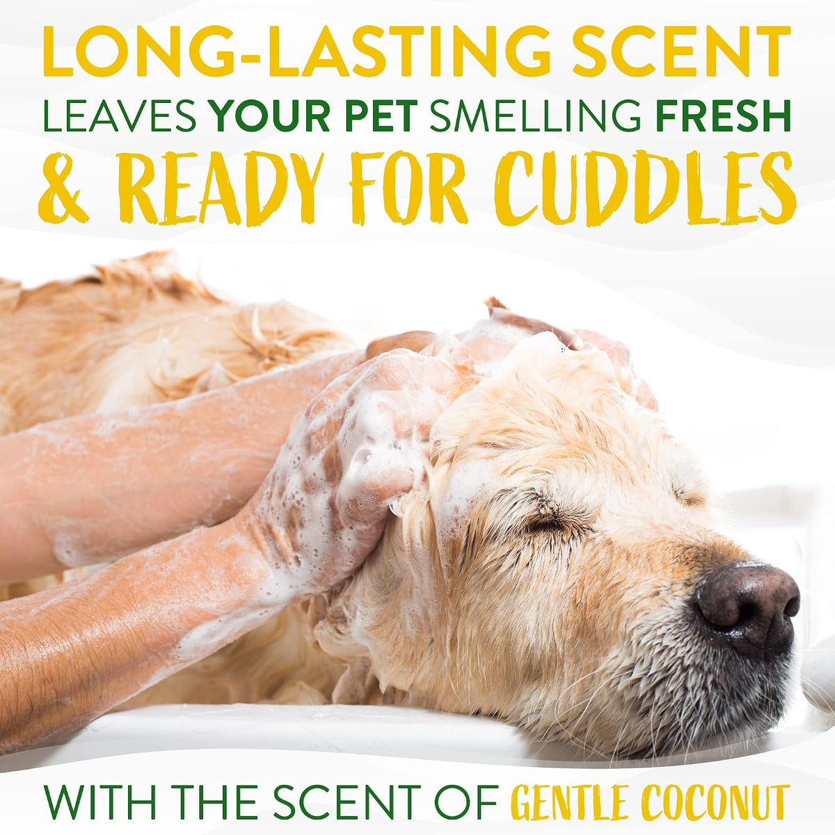 Gentle Puppy Shampoo, Sensitive Skin, Coconut Scent, 20oz | For Allergies & Sensitive Skin | Gentle Coconut Scent | Safe for Cats & Kittens | Made in USA