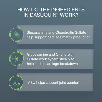Nutramax Dasuquin MSM Joint Supplement for Large Dogs, Soft Chews