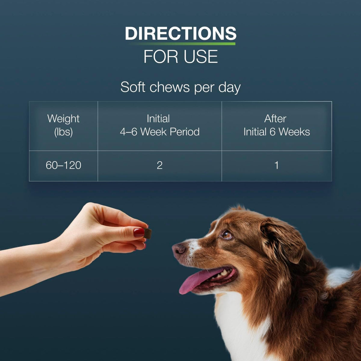 Nutramax Dasuquin MSM Joint Supplement for Large Dogs, Soft Chews