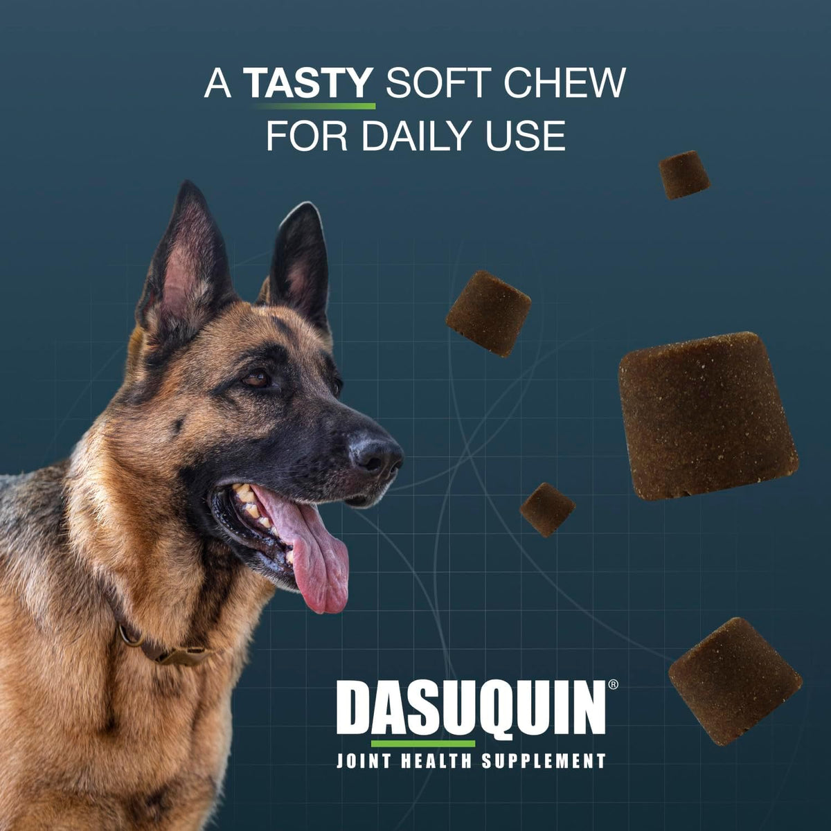 Nutramax Dasuquin MSM Joint Supplement for Large Dogs, Soft Chews