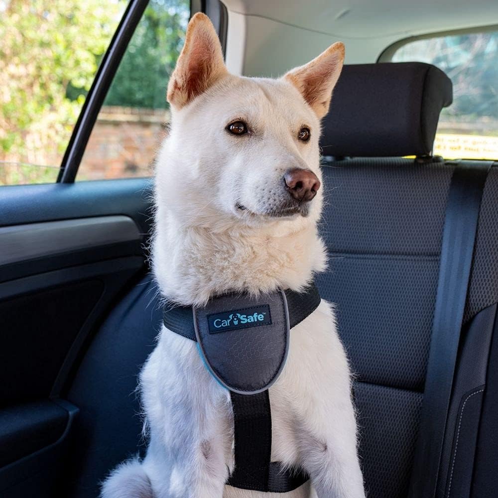 CarSafe Dog Travel Car Harness | Size M