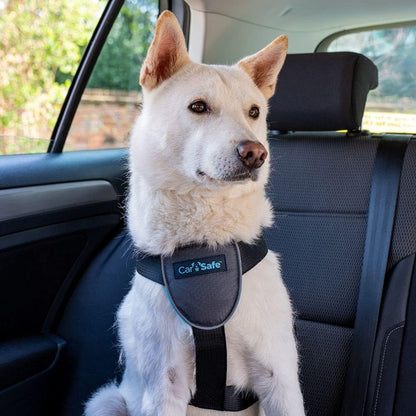 CarSafe Dog Travel Car Harness | Size M
