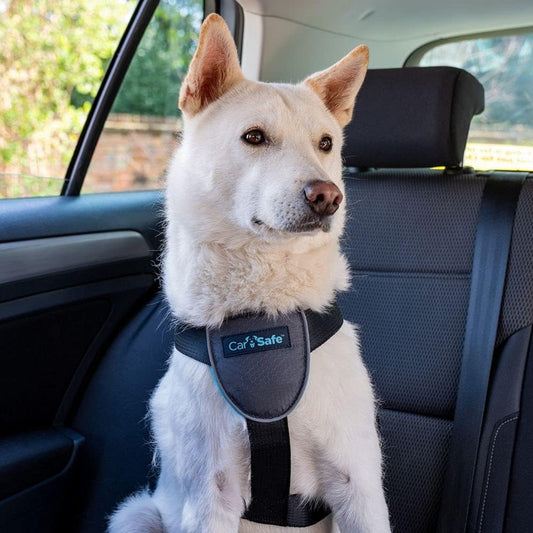 CarSafe Dog Travel Car Harness | Size M