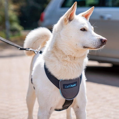 CarSafe Dog Travel Car Harness | Size M