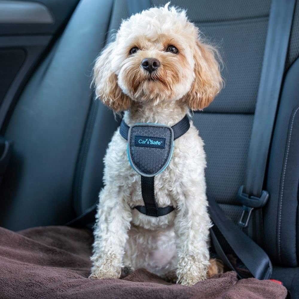 CarSafe Dog Travel Car Harness | Size M
