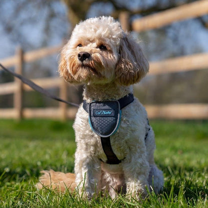 CarSafe Dog Travel Car Harness | Size M