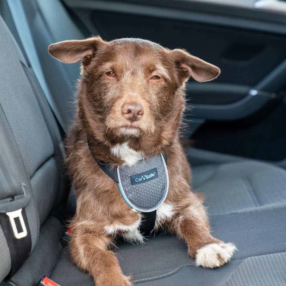 CarSafe Dog Travel Car Harness | Size M