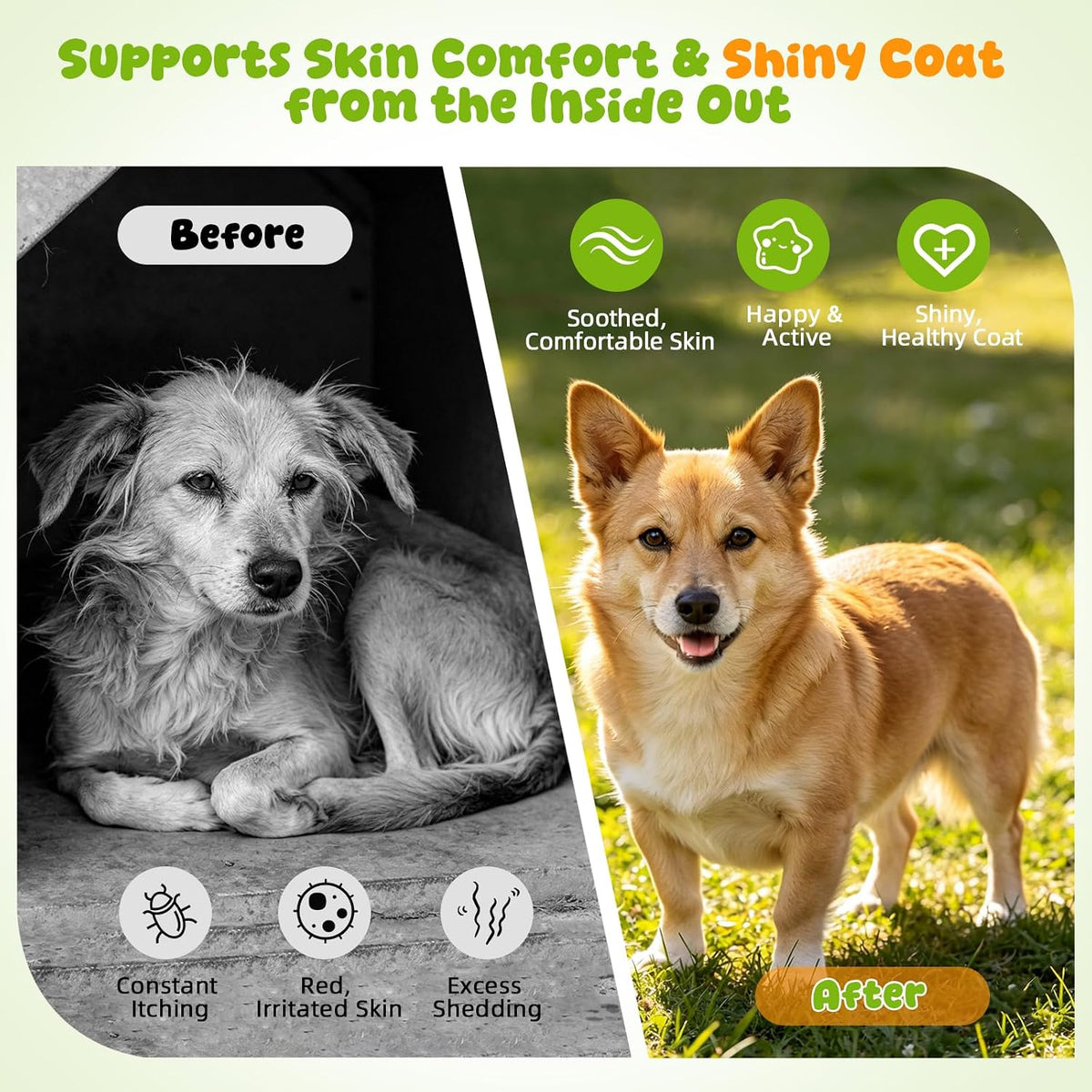 Dog Allergy Itch Chew, Skin Relief & Seasonal Support, Bacon 120ct