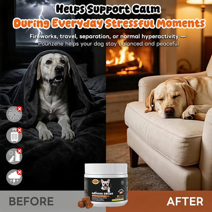 Dog Allergy Itch Chew, Skin Relief & Seasonal Support, Bacon 120ct