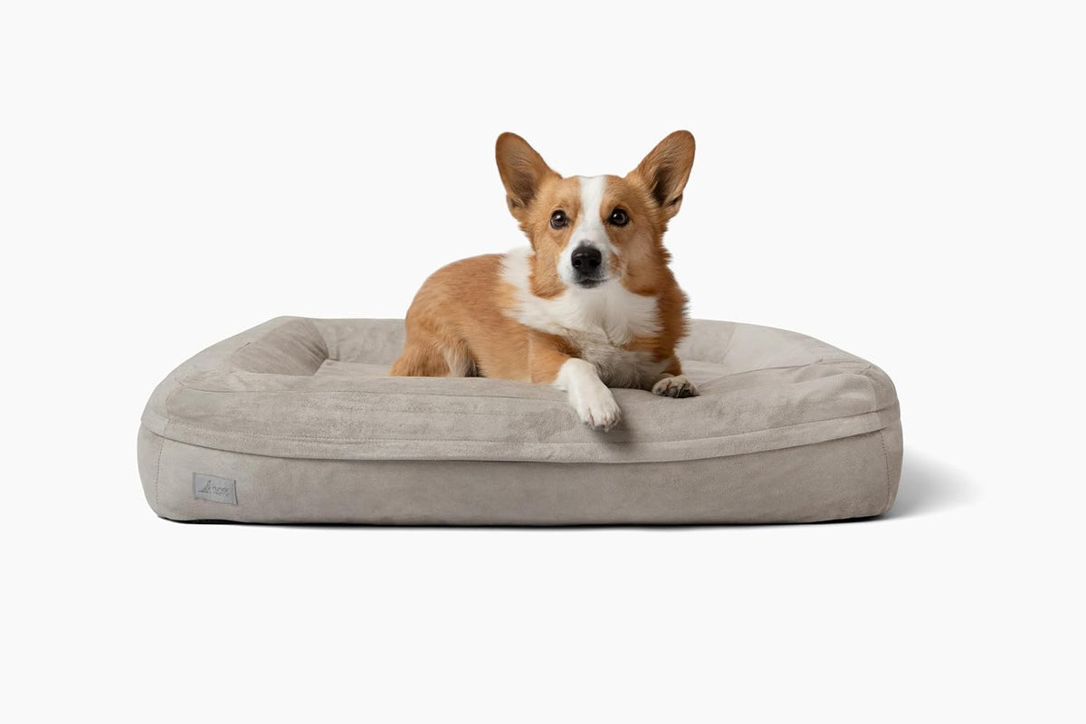 Sanctuary Dog Bed, Orthopedic Cooling Memory Foam with Waterproof Liners, Modular Quick-Change Washable Cover System for No-Downtime Cleaning, Joint Support (Stone, Medium)