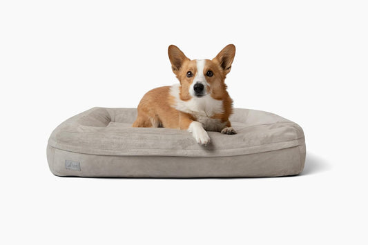 Sanctuary Dog Bed, Orthopedic Cooling Memory Foam with Waterproof Liners, Modular Quick-Change Washable Cover System for No-Downtime Cleaning, Joint Support (Stone, Medium)
