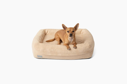 Sanctuary Dog Bed, Orthopedic Cooling Memory Foam with Waterproof Liners, Modular Quick-Change Washable Cover System for No-Downtime Cleaning, Joint Support (Stone, Medium)