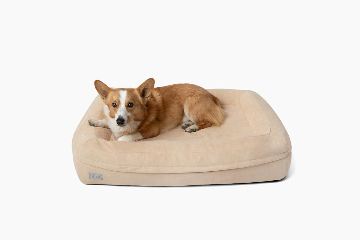 Sanctuary Dog Bed, Orthopedic Cooling Memory Foam with Waterproof Liners, Modular Quick-Change Washable Cover System for No-Downtime Cleaning, Joint Support (Stone, Medium)