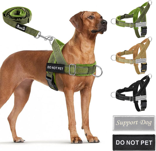 No Pull Dog Harness and Leash Set - Heavy Duty, Soft Padded