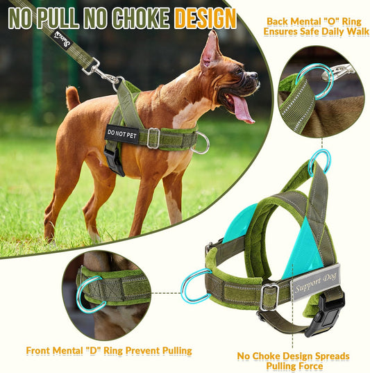 No Pull Dog Harness and Leash Set - Heavy Duty, Soft Padded