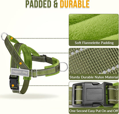 No Pull Dog Harness and Leash Set - Heavy Duty, Soft Padded