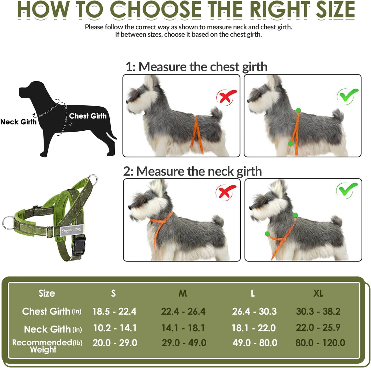 No Pull Dog Harness and Leash Set - Heavy Duty, Soft Padded