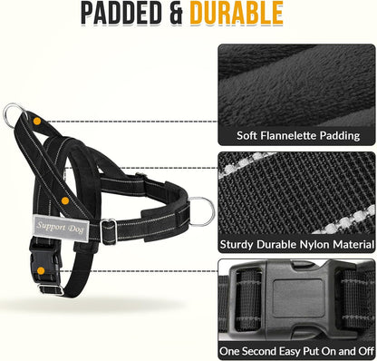 No Pull Dog Harness and Leash Set - Heavy Duty, Soft Padded