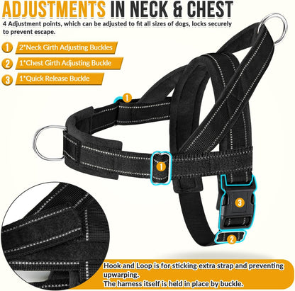 No Pull Dog Harness and Leash Set - Heavy Duty, Soft Padded