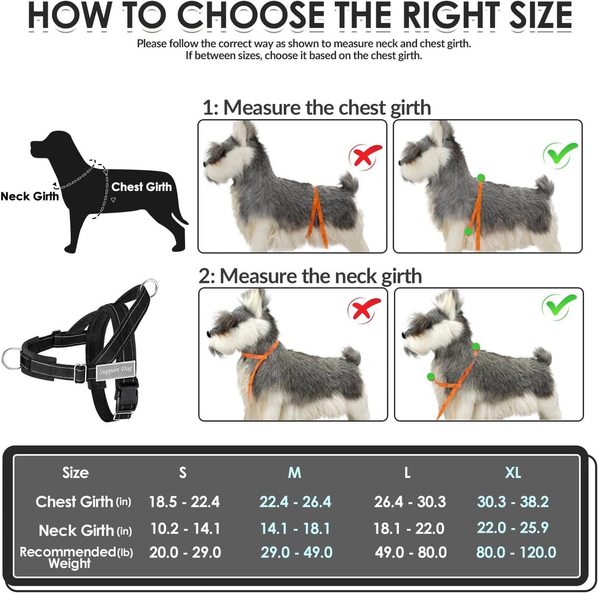 No Pull Dog Harness and Leash Set - Heavy Duty, Soft Padded