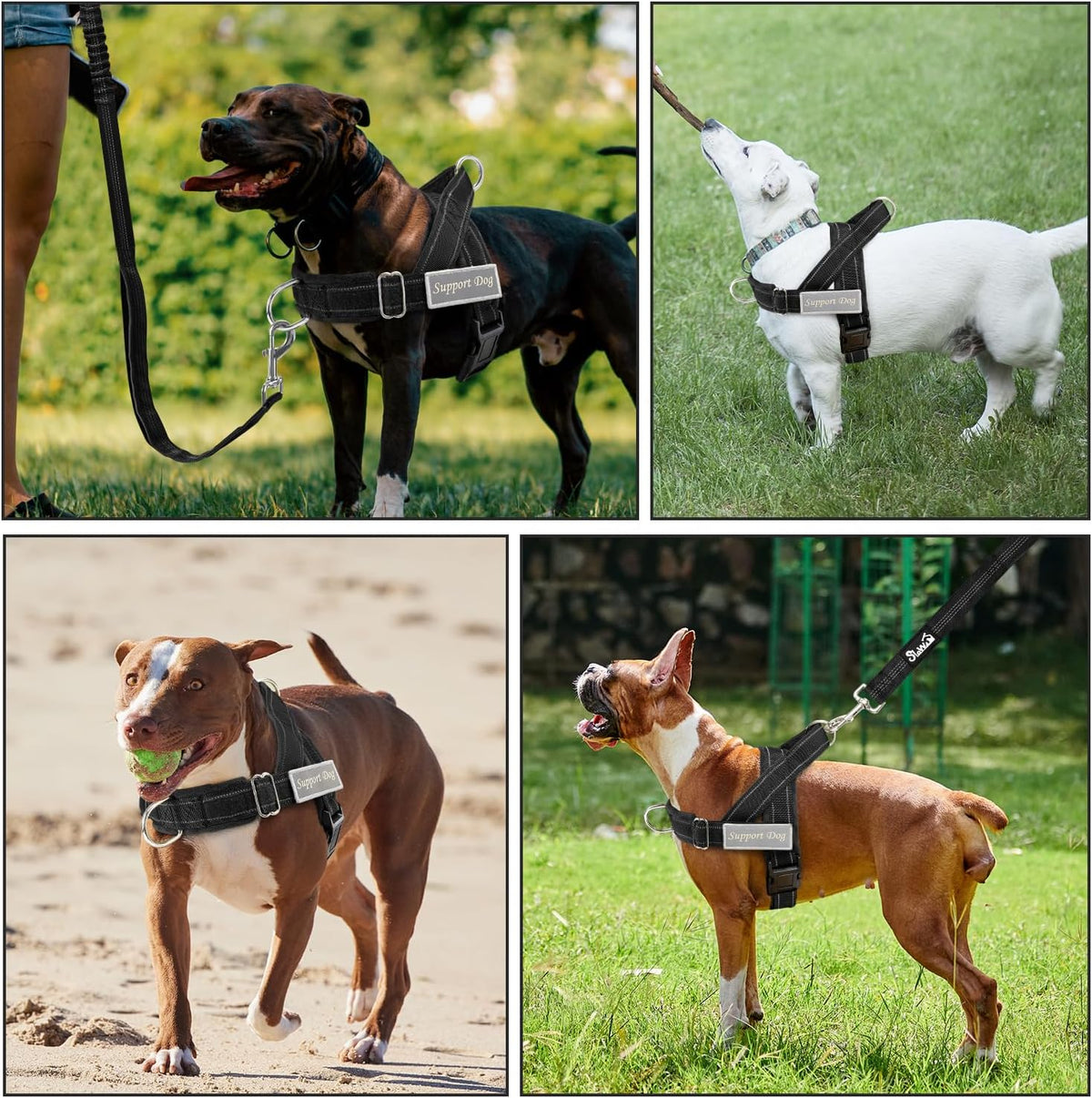 No Pull Dog Harness and Leash Set - Heavy Duty, Soft Padded