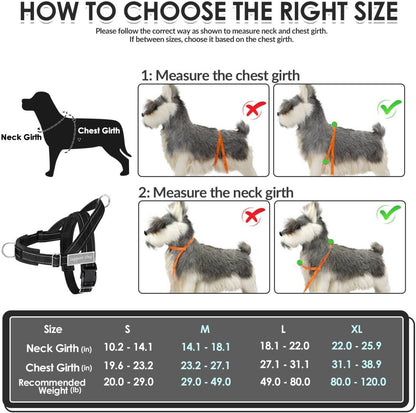 No Pull Dog Harness and Leash Set - Heavy Duty, Soft Padded