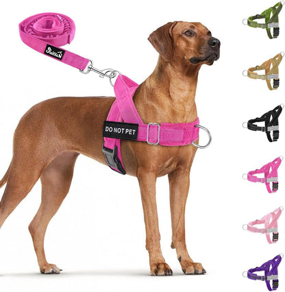 No Pull Dog Harness and Leash Set - Heavy Duty, Soft Padded