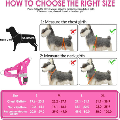 No Pull Dog Harness and Leash Set - Heavy Duty, Soft Padded