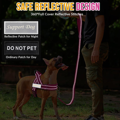 No Pull Dog Harness and Leash Set - Heavy Duty, Soft Padded