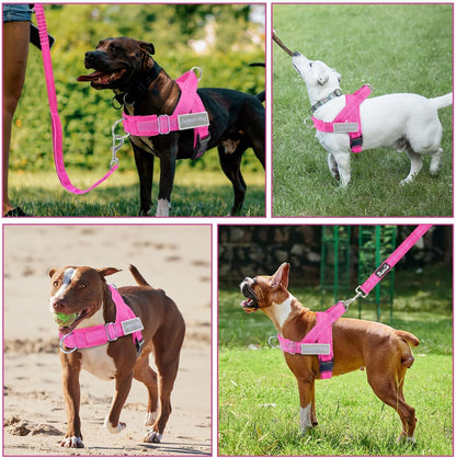 No Pull Dog Harness and Leash Set - Heavy Duty, Soft Padded