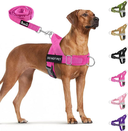 No Pull Dog Harness and Leash Set - Heavy Duty, Soft Padded