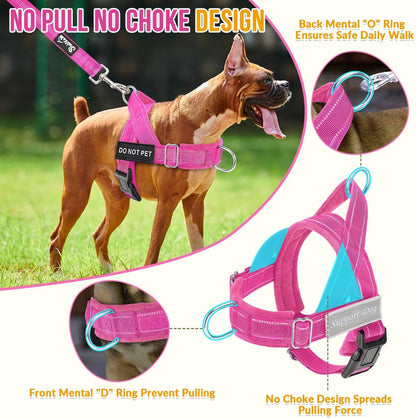 No Pull Dog Harness and Leash Set - Heavy Duty, Soft Padded