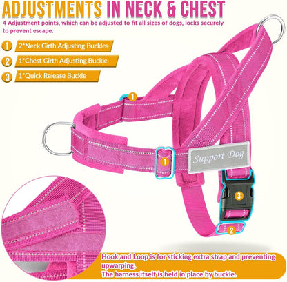 No Pull Dog Harness and Leash Set - Heavy Duty, Soft Padded