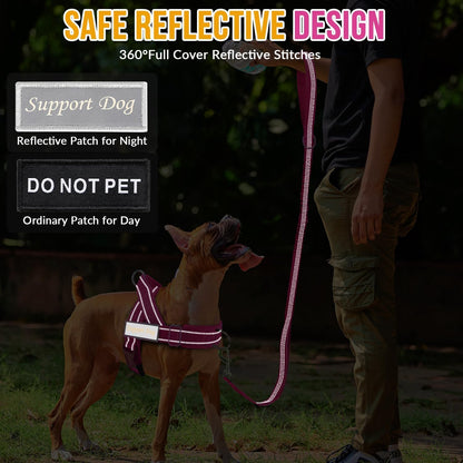No Pull Dog Harness and Leash Set - Heavy Duty, Soft Padded