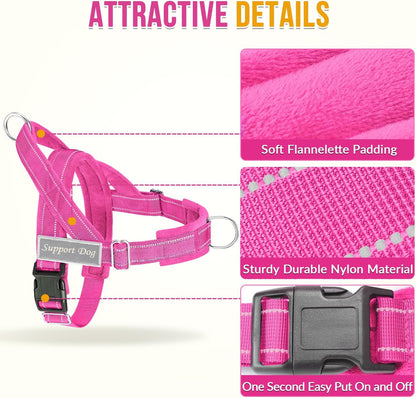 No Pull Dog Harness and Leash Set - Heavy Duty, Soft Padded